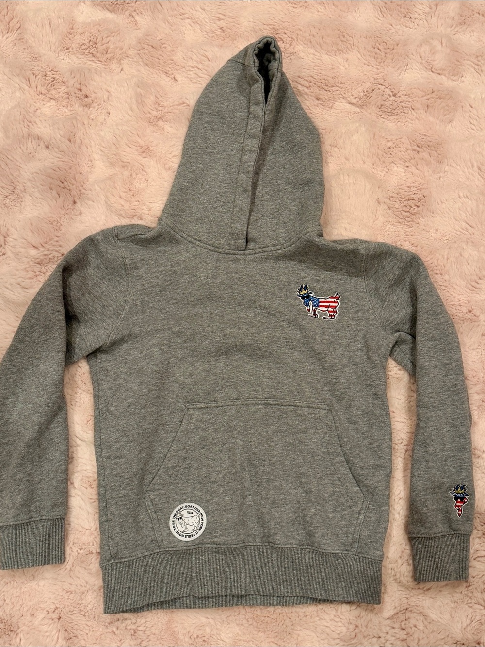 Goat Kids Gray Pullover Hoodie